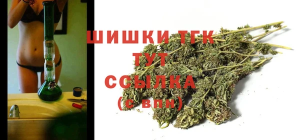 хмурый Елабуга