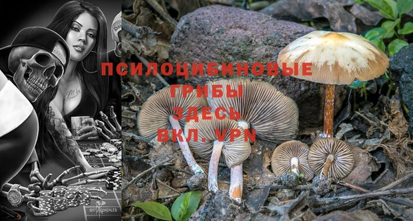 хмурый Елабуга