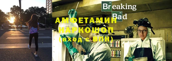 прущие крисы Ельня