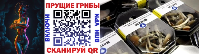 Псилоцибиновые грибы Psilocybe  Купить закладки  Заволжск 